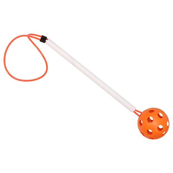 lote 6 pelotas con mango LOTE 6 PELOTAS CON MANGO