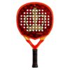 PALA DE PÁDEL BLACK CROWN GLADIUS FORCE