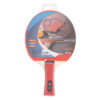 PALA PING-PONG EQSI