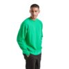 sudadera fruit of the loom classic raglan adulto SUDADERA FRUIT OF THE LOOM CLASSIC RAGLAN ADULTO