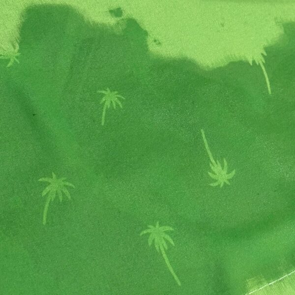 BAÑADOR SOFTEE PALM