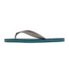chancla softee coconut azul petróleo gris 3 CHANCLA SOFTEE COCONUT