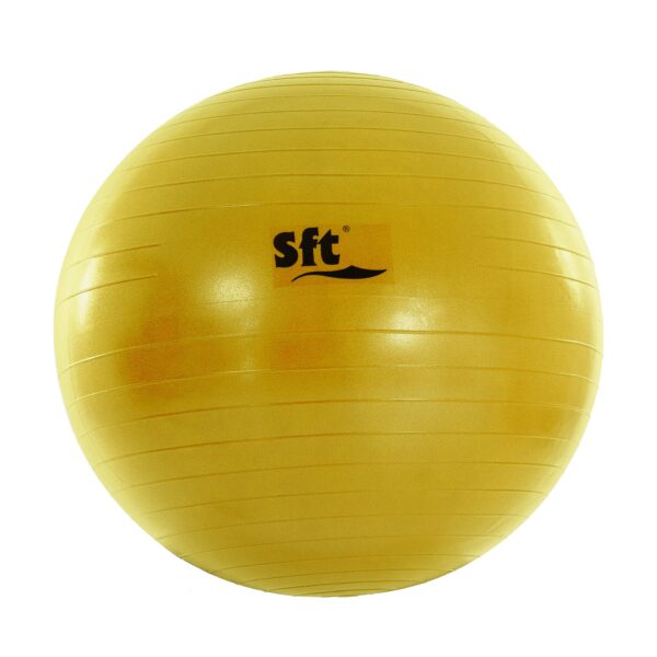 PELOTA GIGANTE SOFTEE FLEXI