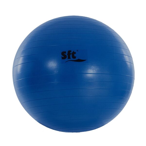 PELOTA GIGANTE SOFTEE FLEXI