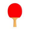 raqueta de tenis de mesa bambú rojo 1 RAQUETA DE TENIS DE MESA BAMBÚ