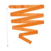 SET STICK + CINTA RÍTMICA