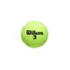 BOTE DE 3 PELOTAS TENIS WILSON ROLAND GARROS ALL