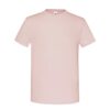 CAMISETA FRUIT OF THE LOOM ICONIC 150 T