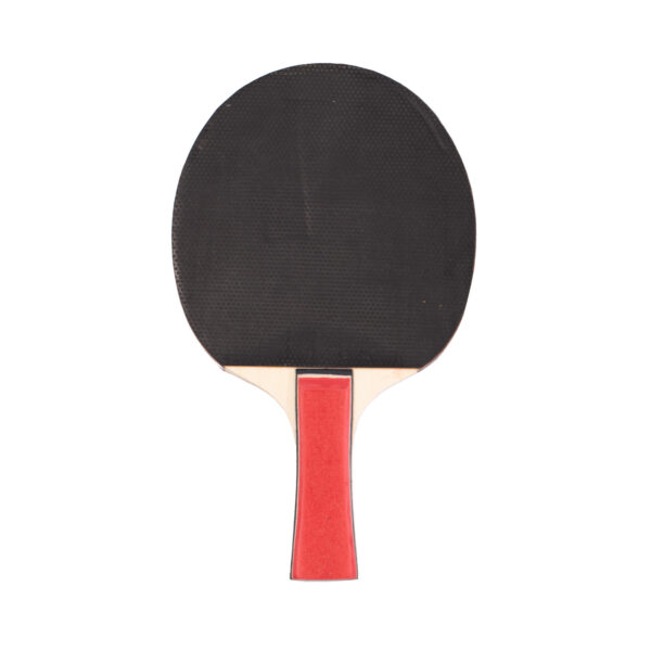 PALA PING-PONG EQSI