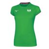 CAMISETA MIZUNO-HARLEM SLEEVE MUJ