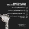 CREATINA MONOHIDRATO