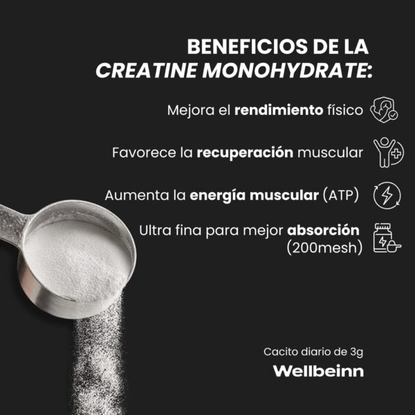 CREATINA MONOHIDRATO
