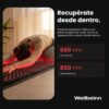 ESTERILLA DE LUZ ROJA - REDINN MAT